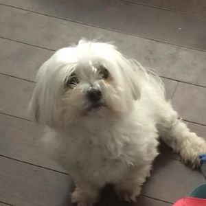 Meet your Posher, Christine